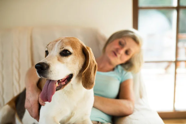 Senior Kvinna med hennes hund hemma avkopplande — Stockfoto
