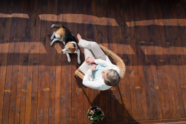 Femeie în vârstă cu câine, așezată pe terasă din lemn, relaxantă . — Fotografie, imagine de stoc