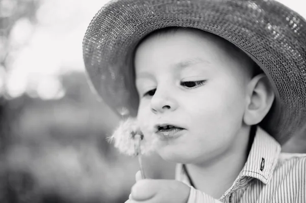 Little boy blowing dandelion. Sunny summer — Stock Photo, Image