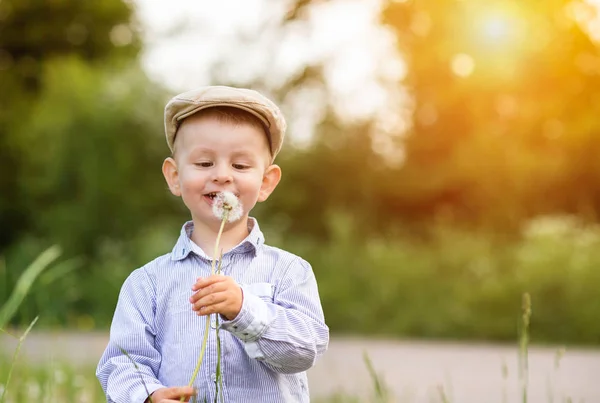 Petit garçon soufflant du pissenlit. Été ensoleillé — Photo