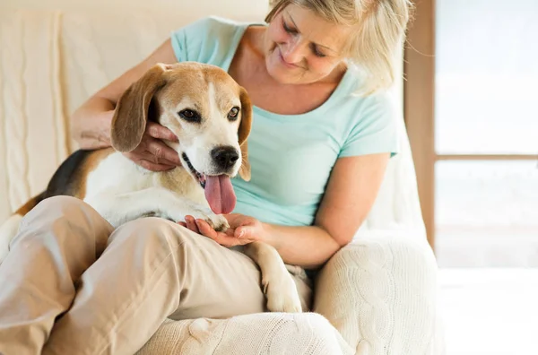 年配の女性は彼女の犬を自宅でリラックス — ストック写真