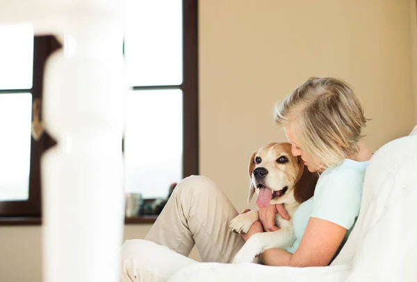 Seniorin mit Hund zu Hause entspannt — Stockfoto