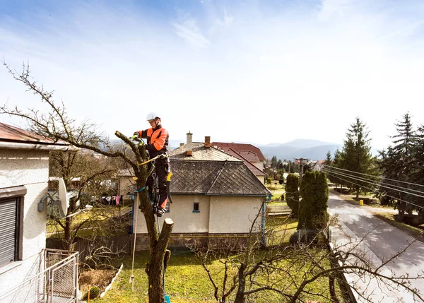 Oduncu chainsaw ve bir ağaç budama koşum takımı ile. — Stok fotoğraf