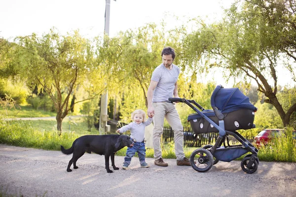 Vater mit Sohn und kleiner Tochter im Kinderwagen. sonniger Park. — Stockfoto