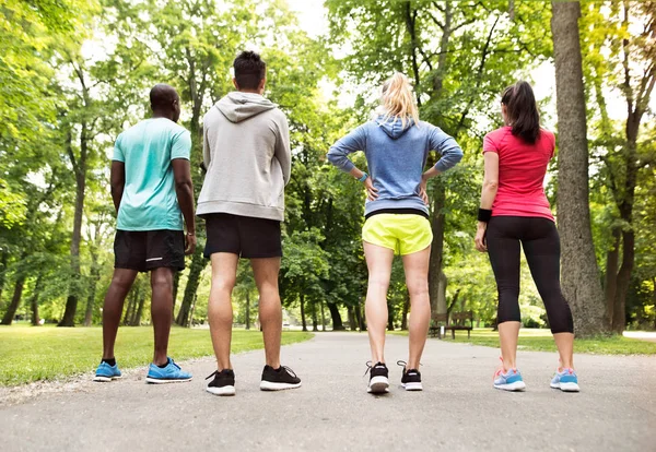 Группа молодых спортсменов готовилась к пробежке в зеленом солнечном парке . — стоковое фото