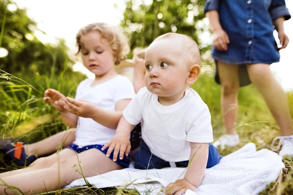 Bambini piccoli e carini all'aperto in una natura verde estiva . — Foto Stock