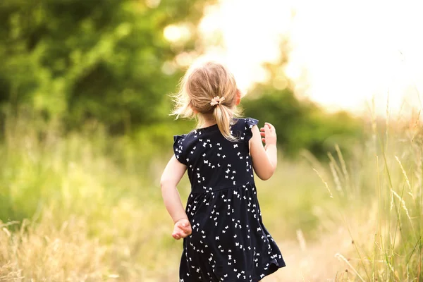Ładny mały dziewczyna poza w w zielone słoneczne lato natura. — Zdjęcie stockowe