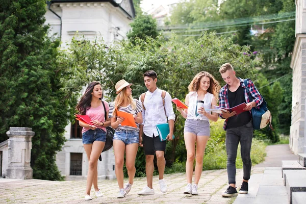 Grupo de estudantes adolescentes atraentes caminhando para a universidade . — Fotografia de Stock