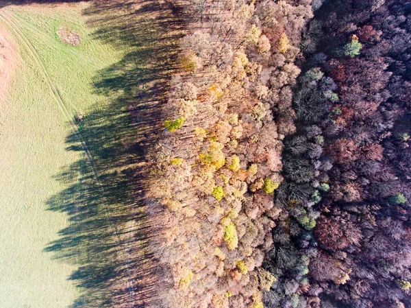 Letecký pohled na barevný podzimní les. — Stock fotografie