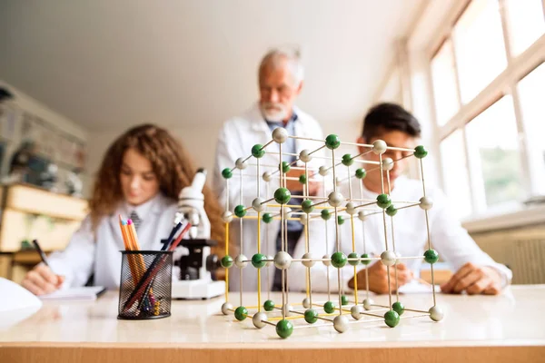 Senior teacher teaching biology to high school students in labor