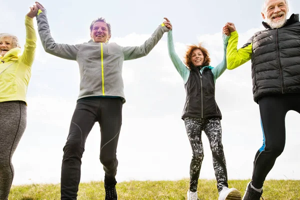 Grupo de corredores senior al aire libre, descansando, tomados de la mano . — Foto de Stock