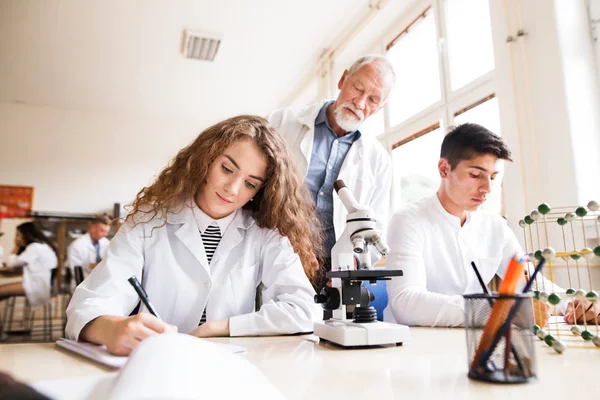 Professor sênior de ensino de biologia para alunos do ensino médio — Fotografia de Stock