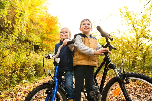 Aranyos kis fiúk kerékpározhatnak a napsütéses őszi parkban. — Stock Fotó