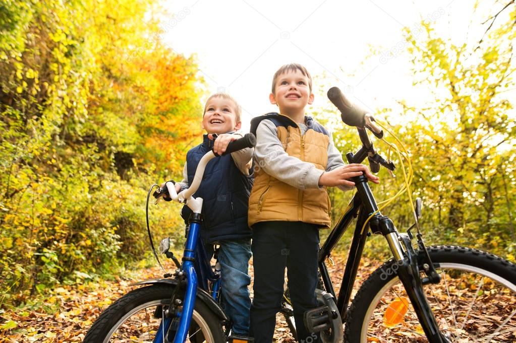 Cute little boys cycling in sunny autumn park.