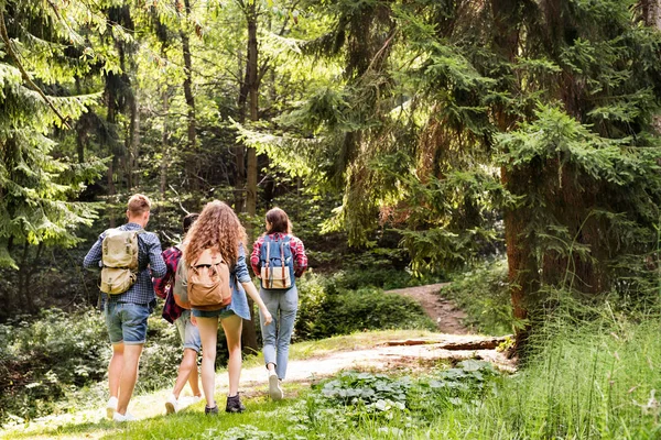 Tonåringar med ryggsäckar vandring i skogen. Sommarsemester. — Stockfoto