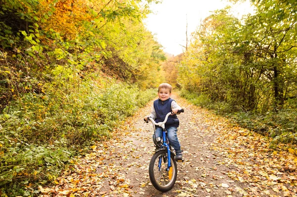 Sevimli küçük çocuk güneşli sonbahar parkta Bisiklete binme.