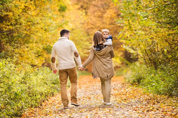 Vacker ung familj på en promenad i höst skog. — Stockfoto