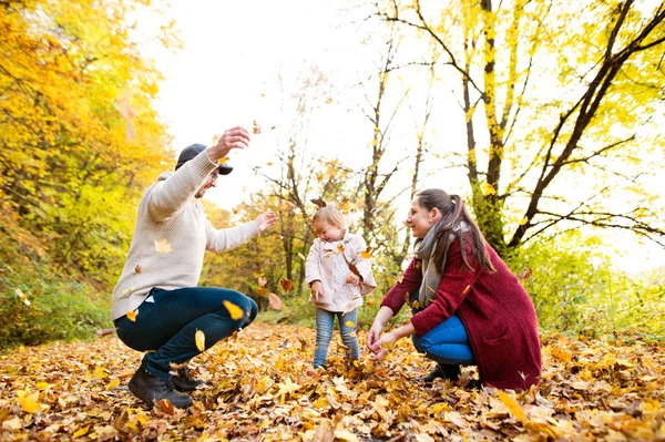 Krásná mladá rodina na procházce v podzimním lese. — Stock fotografie