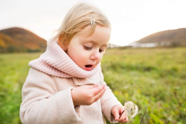 Cute little girl with dandelion, autumn nature. — Stock Photo, Image