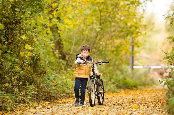 Bonito menino pedalar no ensolarado parque de outono . — Fotografia de Stock