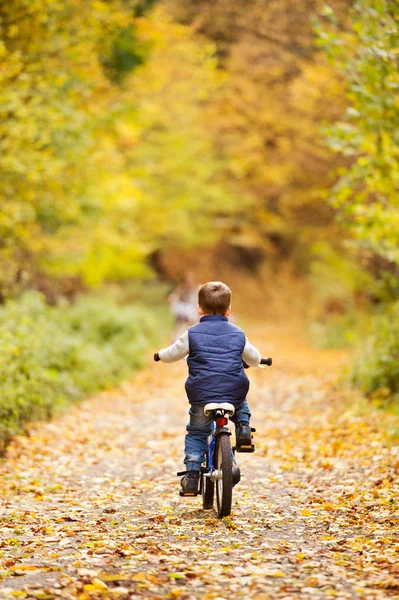 日当たりの良い秋の公園でサイクリングかわいい男の子. — ストック写真