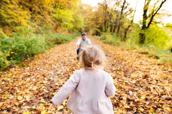 小女孩跑到她的父亲。多彩的秋天的树林. — 图库照片