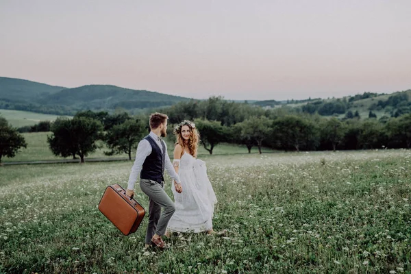 Hermosos novios al atardecer en la naturaleza verde . —  Fotos de Stock