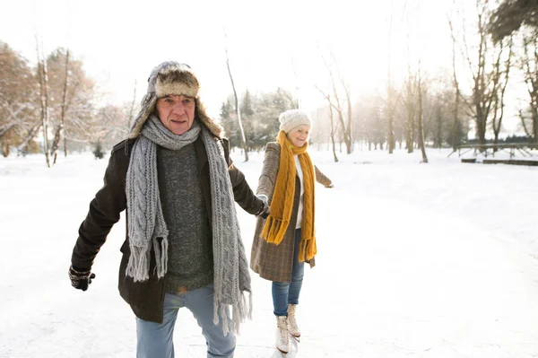 Äldre par i soliga vintern natur skridskoåkning. — Stockfoto