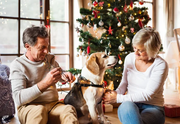 Casal sênior com cão na frente da árvore de Natal — Fotografia de Stock