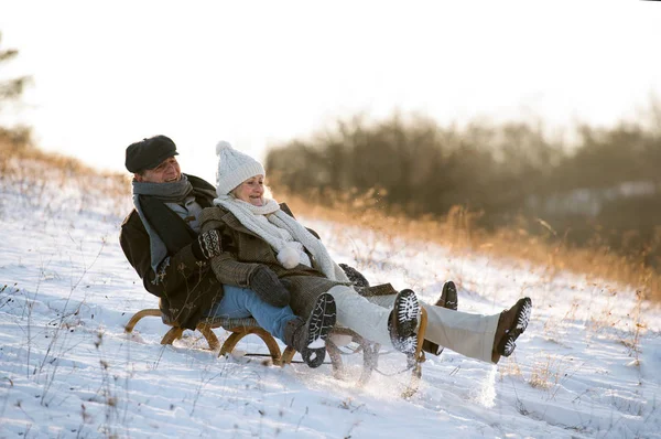 Piękna para starszy na sanki, zabawa, zimowy dzień. — Zdjęcie stockowe