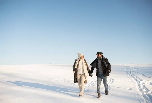Beautiful senior couple on a walk, winter day. — Stock Photo, Image