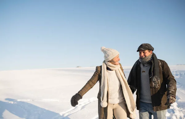 Piękna para starszy na spacer, zimowy dzień. — Zdjęcie stockowe