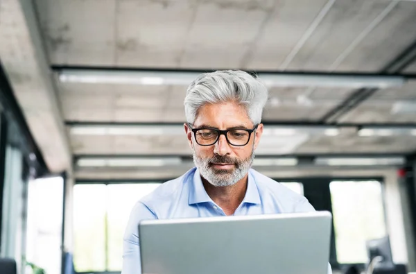 Rijpe zakenman met laptop in creatieve kantoor. — Stockfoto