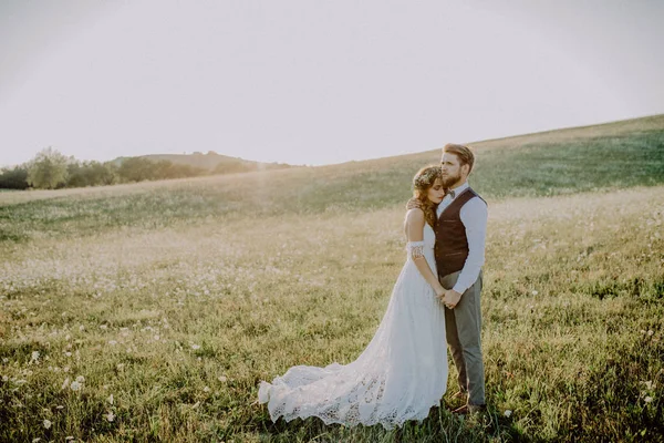 Hermosa novia y novio en la naturaleza verde . —  Fotos de Stock