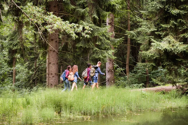 Tinédzserek erdő túrázás hátizsákok. Nyári vakáció. — Stock Fotó