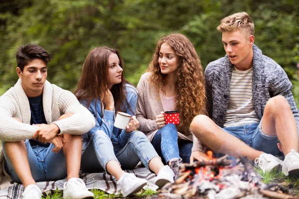 Teenagers camping in nature, sitting at bonfire. — Stock Photo, Image