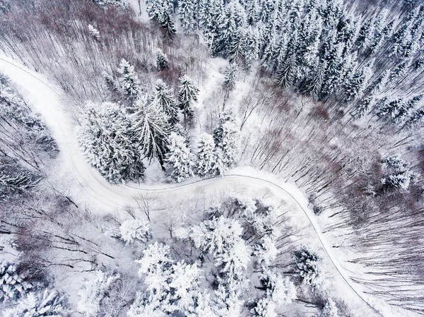 Вид с воздуха на лес зимой . — стоковое фото