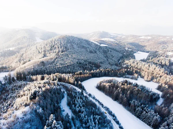Vue aérienne de la forêt de conifères en hiver . — Photo