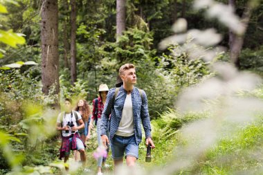 Gençler ormanda hiking sırt çantaları ile. Yaz tatili.