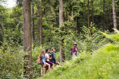 Gençler ormanda hiking sırt çantaları ile. Yaz tatili.