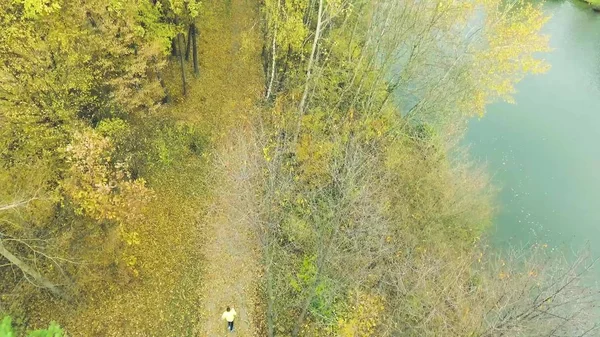 Молодой спортсмен выбегает на улицу в осенний лес. Вид с воздуха . — стоковое фото