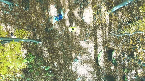 Jóvenes atletas corriendo afuera en el bosque de otoño. Vista aérea . —  Fotos de Stock