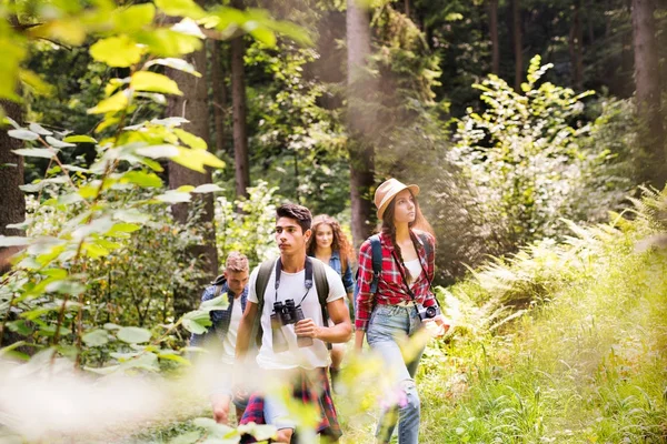 Teenageři s batohy Turistika v lese. Letní dovolená. — Stock fotografie