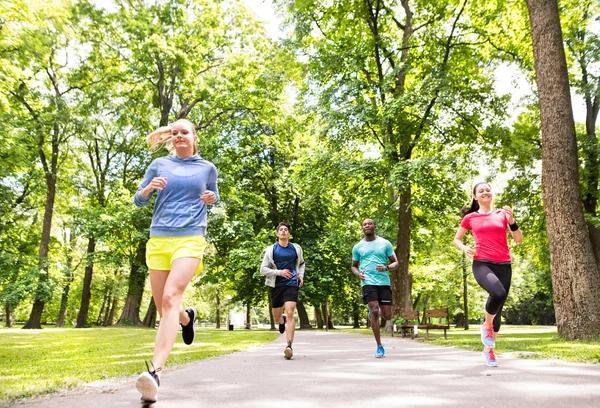 Група молодих спортсменів, що біжать у зеленому сонячному парку . — стокове фото