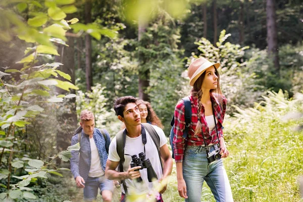 Adolescents avec sacs à dos randonnée en forêt. Vacances d'été . — Photo