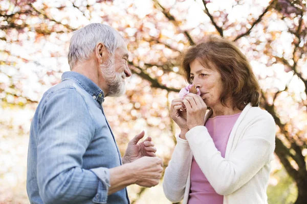 Beautiful senior couple in love outside in spring nature. — Stock Photo, Image