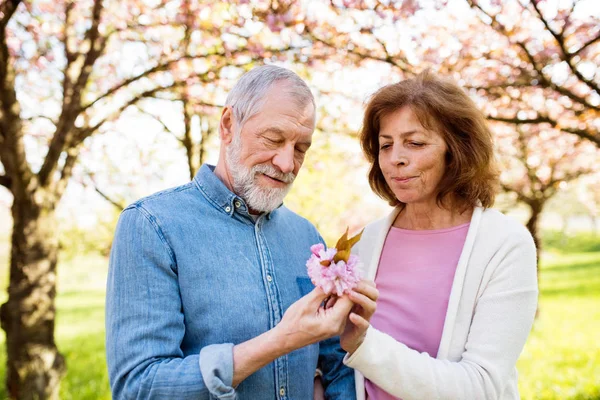 Beautiful senior couple in love outside in spring nature. — Stock Photo, Image