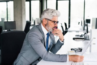 Ofiste gri elbiseli olgun iş adamı.