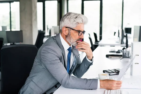 Ofiste gri elbiseli olgun iş adamı.