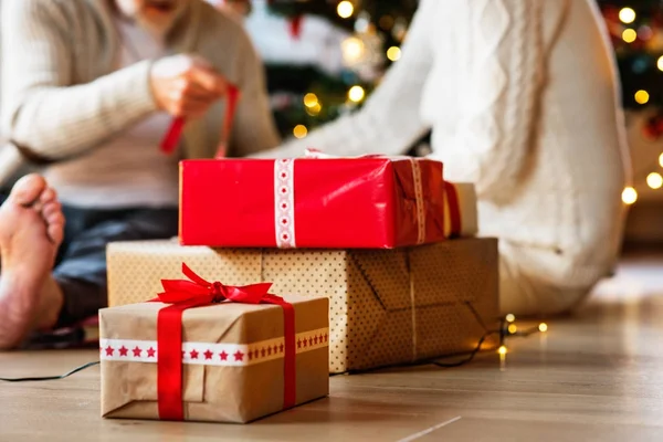 Couple âgé méconnaissable devant l'arbre de Noël avec pré — Photo